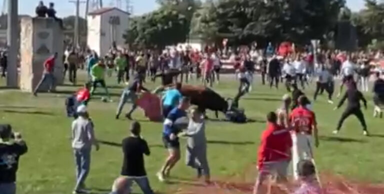 Dos heridos graves en el tenso encierro del «Toro de la Vega» en Tordesillas