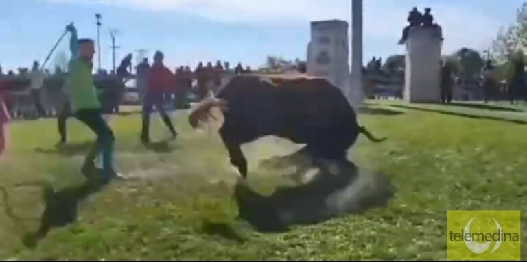 Cruz Roja atiende a catorce personas durante el encierro del Toro de la Vega 2024 en Tordesillas