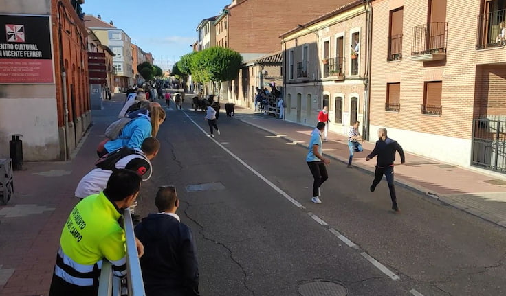 Cinco Núñez del Cuvillo llegan hasta el Coso del Arrabal en el segundo encierro de Medina del Campo 