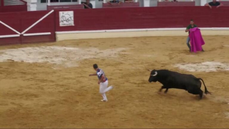 Final del concurso de cortes 2024 – Medina del Campo