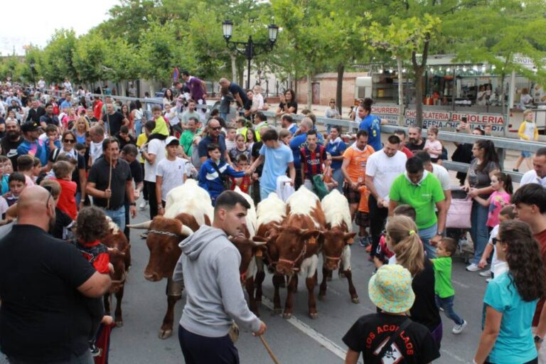 La expectación vuelve a estar servida en Medina del Campo con los ‘Chiquicabestros’ 