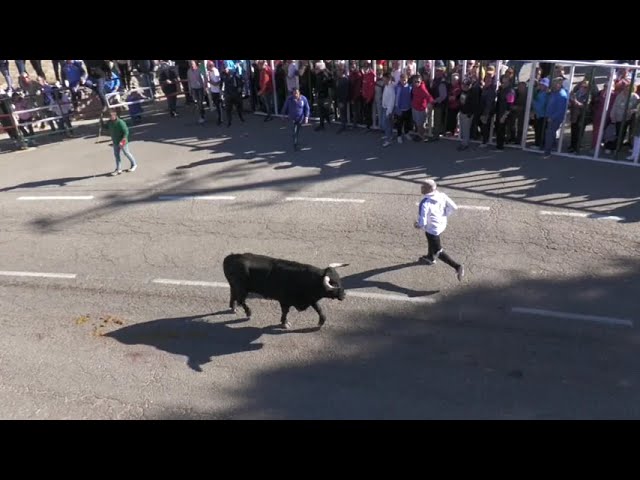 Tercer encierro de Olmedo 2024