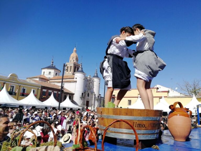 La XXXIV Fiesta de la Vendimia de la D.O. Rueda reúne a 30 bodegas en un fin de semana de vino, música y enoturismo