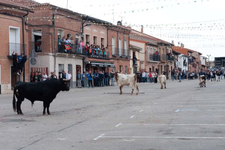 El toro de la vendimia llena las calles de Rueda desafiando la amenaza de lluvia