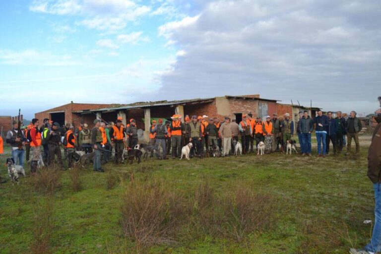 Gran papel de los olmedanos en el Campeonato Provincial de Caza Menor con Perro