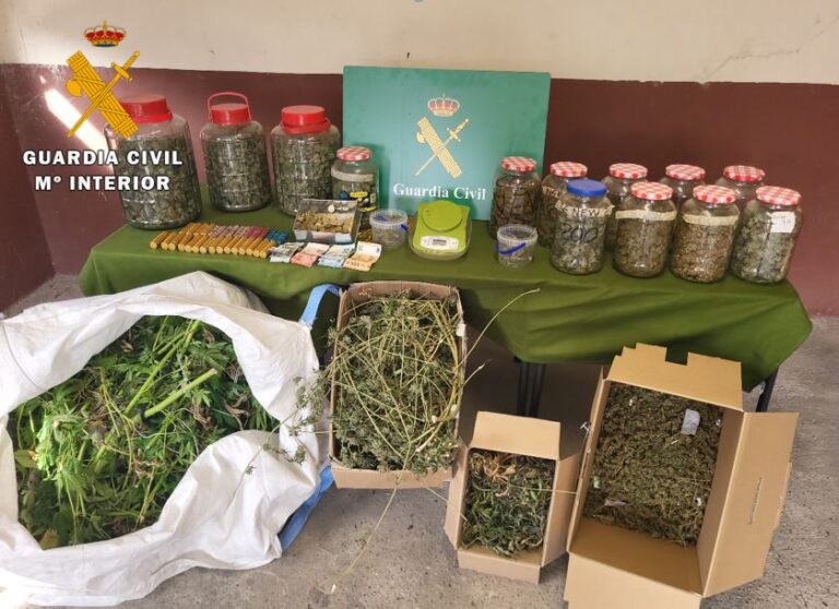 La Guardia Civil desmantela una plantación de marihuana y un punto de venta de drogas en Tudela de Duero