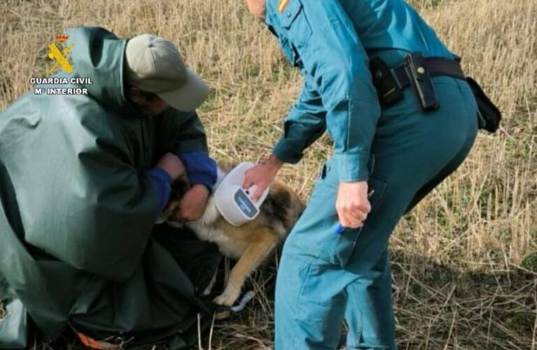 Identificado el perro que provocó la muerte de un hombre en Barrios de la Vega